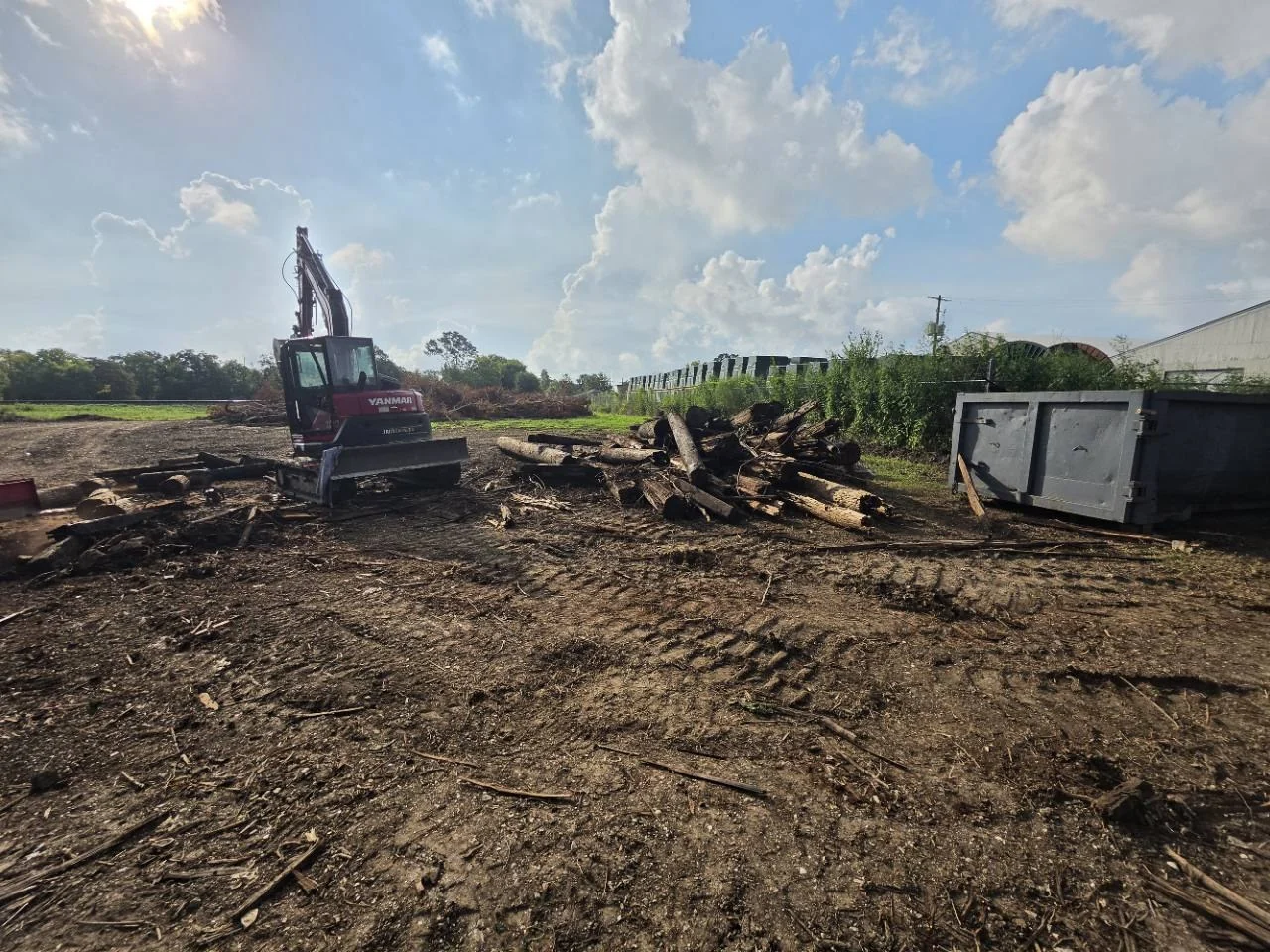 Excavator beside removed tree trunks and a steel container on cleared ground